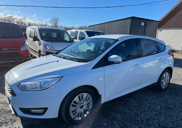Ford Focus cena 28700 przebieg: 217830, rok produkcji 2014 z Sulechów małe 352